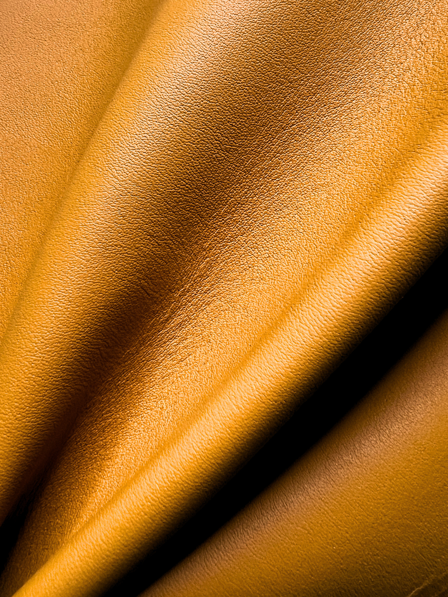 Fall Leaves | Ignotum A5 Full Grain Leather Desk Agenda
