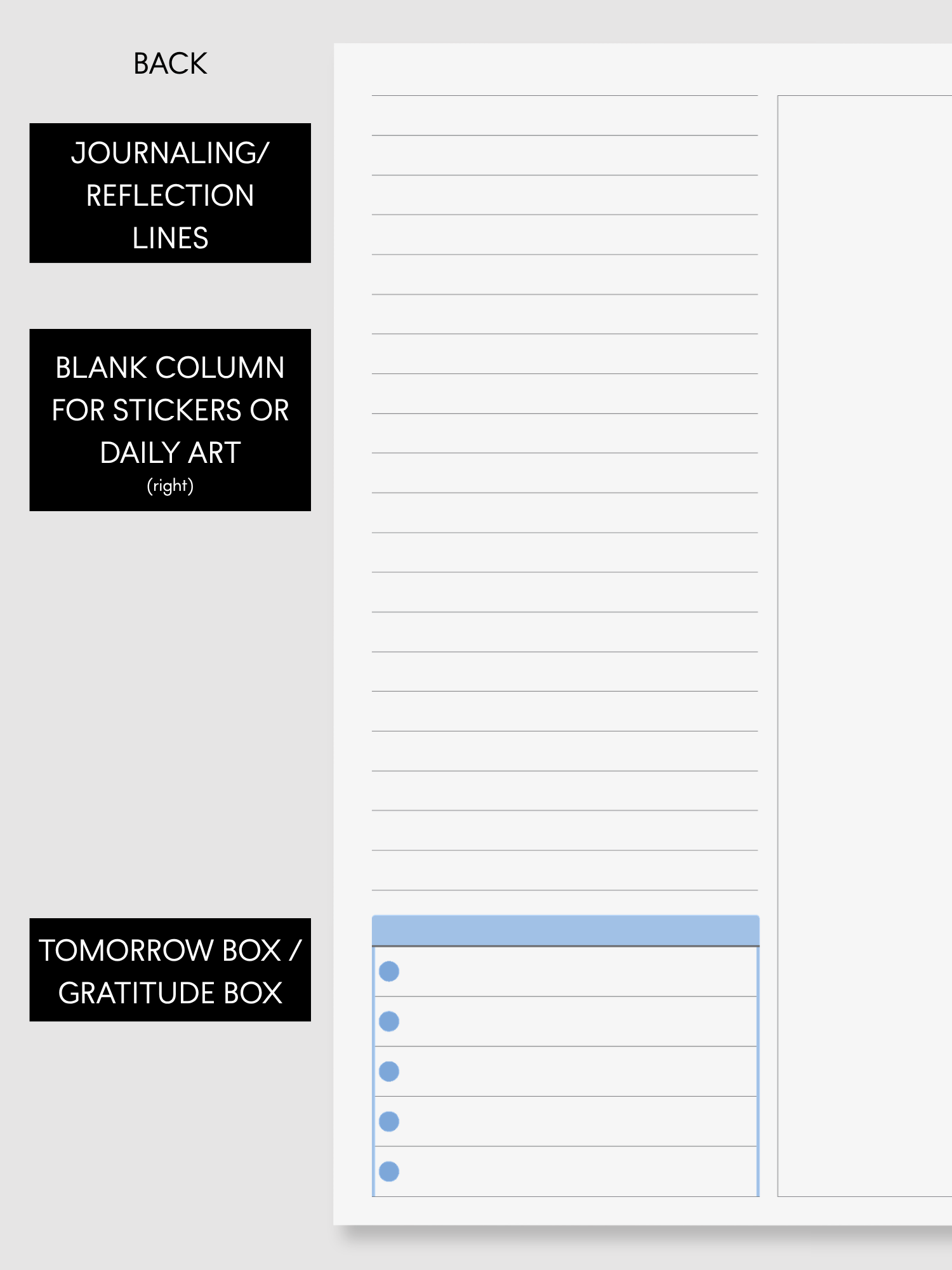 Daily PeekFlow Planner Papers (30 Sheets/Color)
