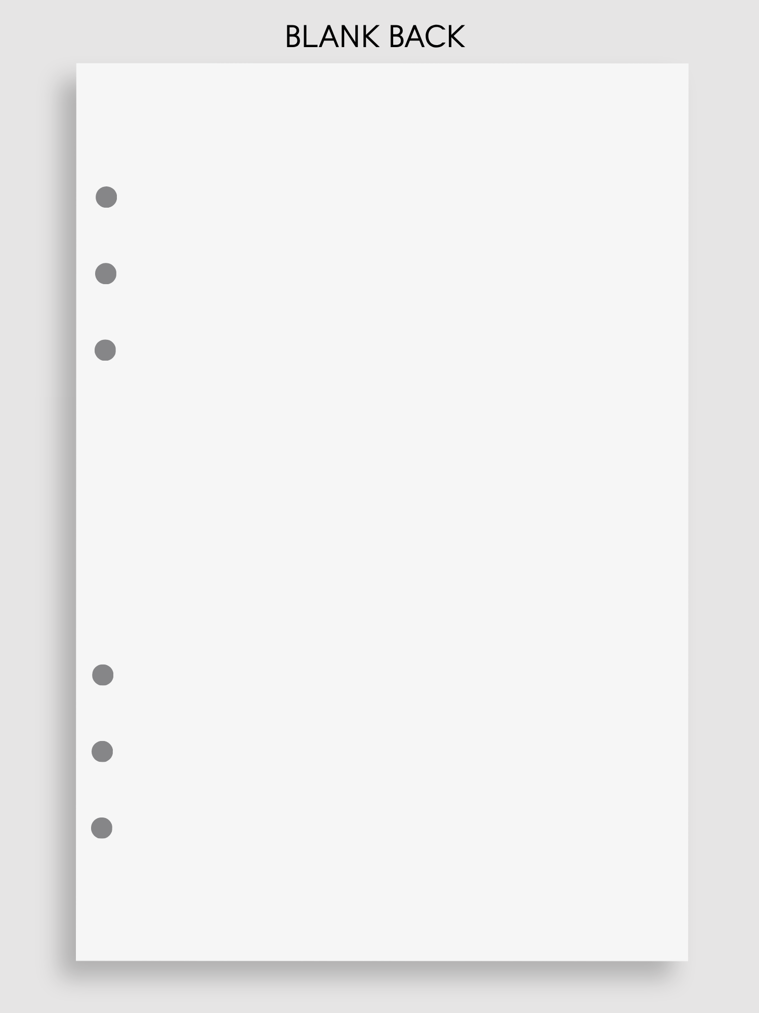 Blank | 6 Hole Punched Refill Paper